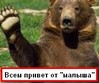 Аватара пользователя